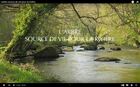 videolarbresourcedeviepourlariviere_2023-04-07-17_37_15-1-l-arbre-source-de-vie-pour-la-riviere-youtube.jpg